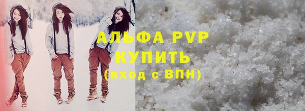 молекула духа Вяземский