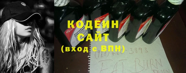 молекула духа Вяземский