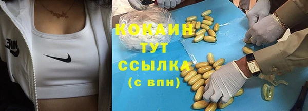 мдпв Вязьма