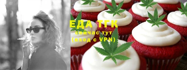молекула духа Вяземский