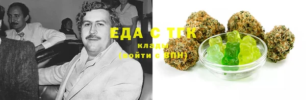 молекула духа Вяземский