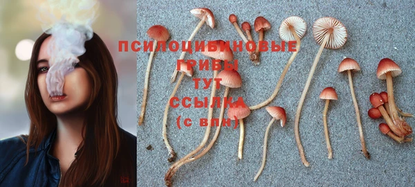 дурь Вязники