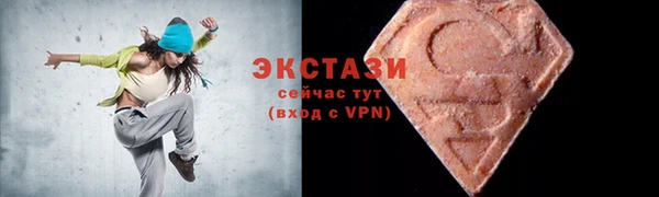 молекула духа Вяземский
