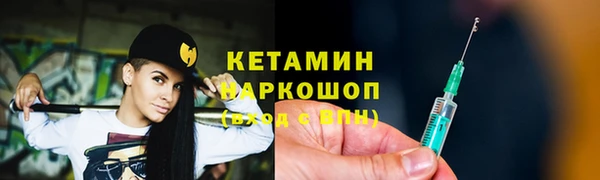 молекула духа Вяземский