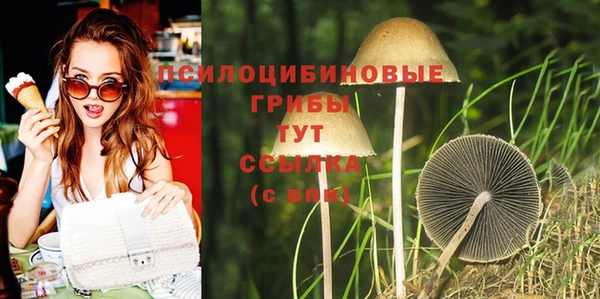 мдпв Вязьма