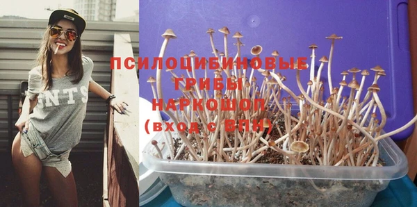 мдпв Вязьма