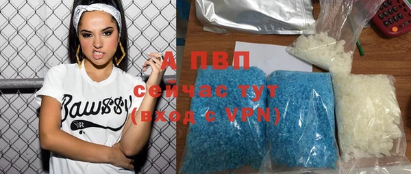 молекула духа Вяземский