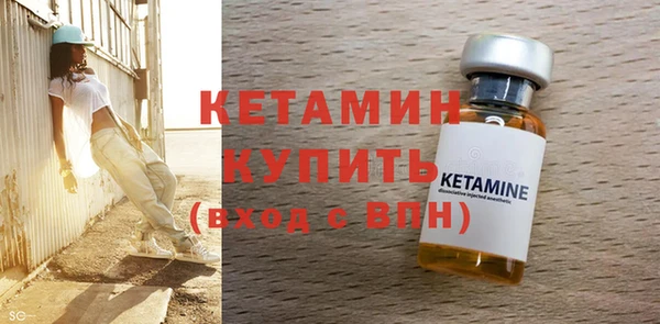 молекула духа Вяземский
