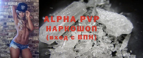 молекула духа Вяземский