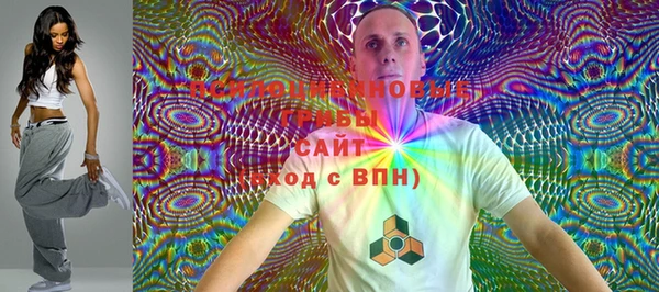 мдпв Вязьма