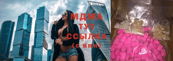 мдпв Вязьма