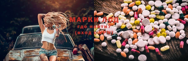 молекула духа Вяземский