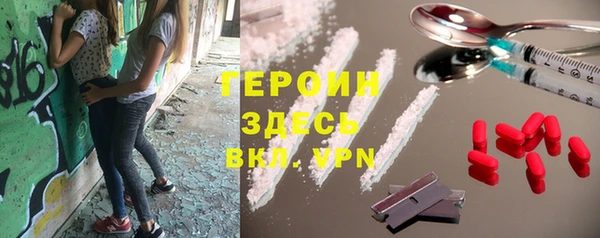 молекула духа Вяземский