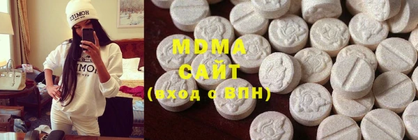 молекула духа Вяземский