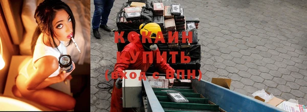 мдпв Вязьма