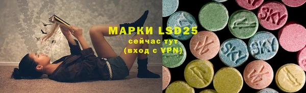 мдпв Вязьма