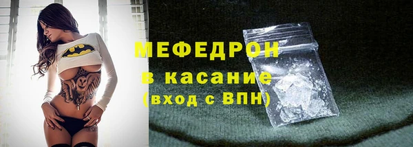 молекула духа Вяземский