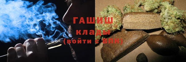 молекула духа Вяземский
