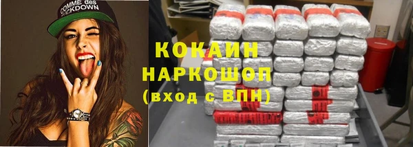 молекула духа Вяземский